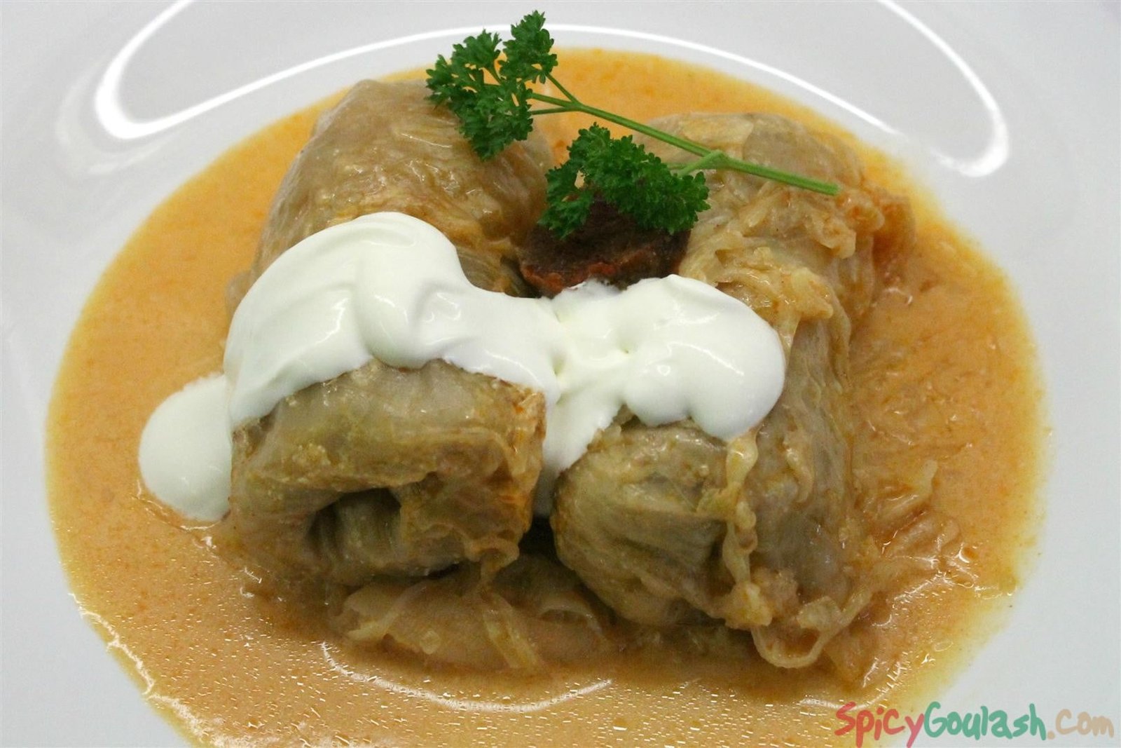 Image result for cabbage rolls with sour cream