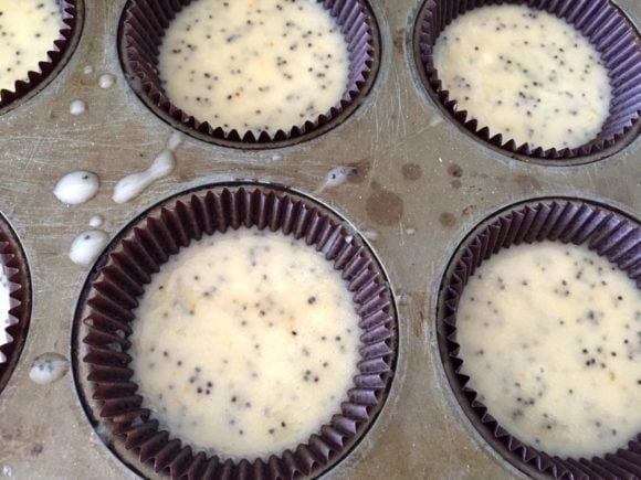 Lemon poppy seed5
