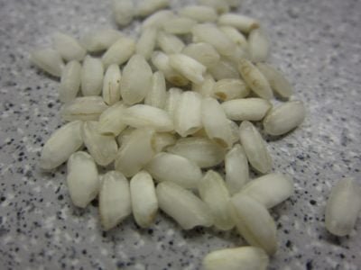 Arborio rice grains