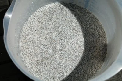 Chia pudding recipe 4