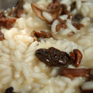 Wild mushroom risotto